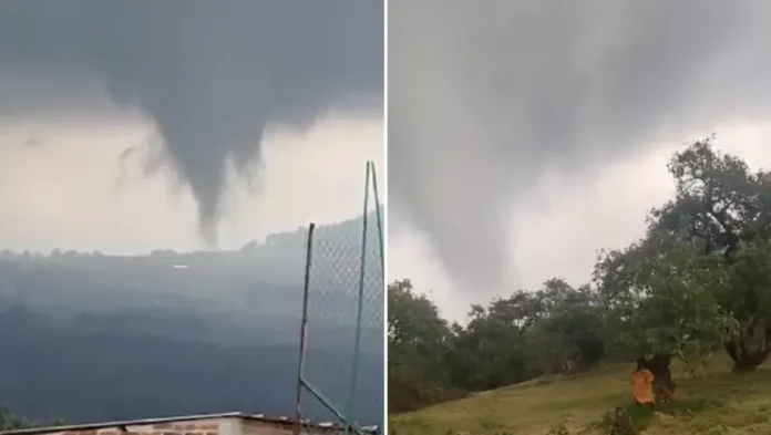Tornado arrasa con huertas de aguacate en Peribán, Michoacán