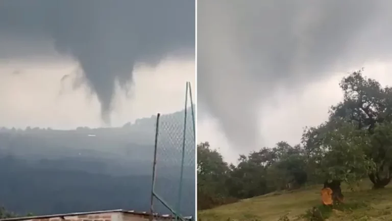 Video: Tornado arrasa con huertas de aguacate en Peribán, Michoacán