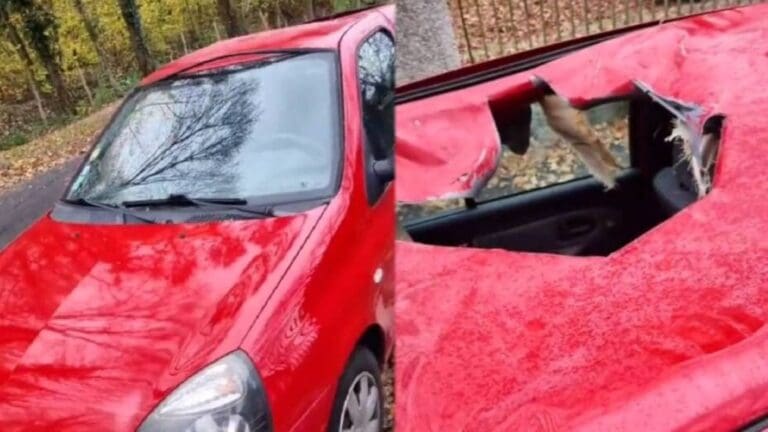 Video: Un vehículo es impactado por un ‘meteorito’ en Francia