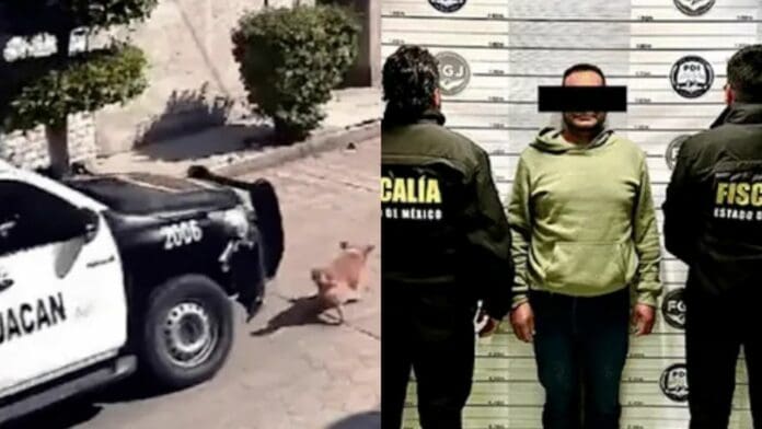 Detienen a policía que atropelló y mató al perrito 'Peluche' en Chimalhuacán, Edomex