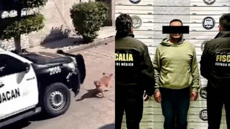 Detienen a policía que atropelló y mató al perrito ‘Peluche’ en Chimalhuacán, Edomex