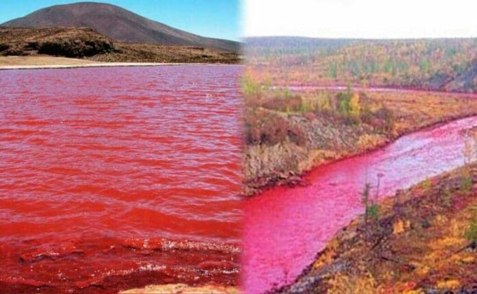 Río Nilo se tiñó de rojo y causa pánico por su presagio bíblico