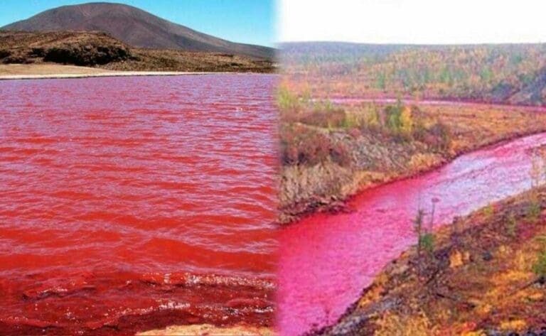 Río Nilo se tiñó de rojo y causa pánico por su presagio bíblico