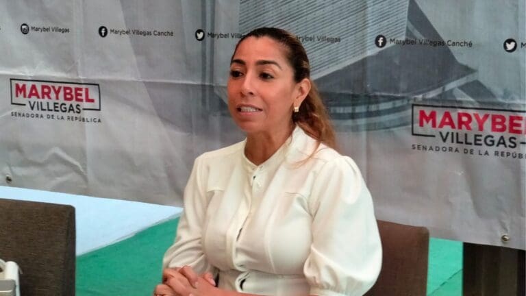 La senadora Marybel Villegas denunció que hay una campaña negra en su contra. Dice que sería pagada con recursos públicos.