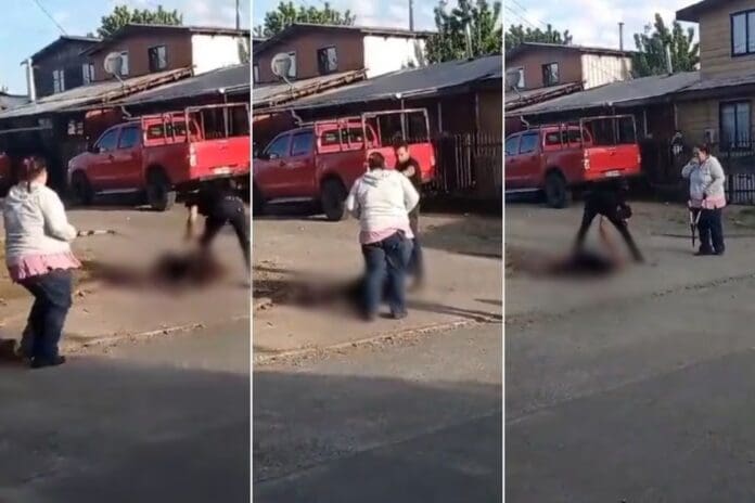 Video: Hombre asesina con 43 puñaladas a su propio hermano en Chile; la víctima abusaba sexualmente de su pareja