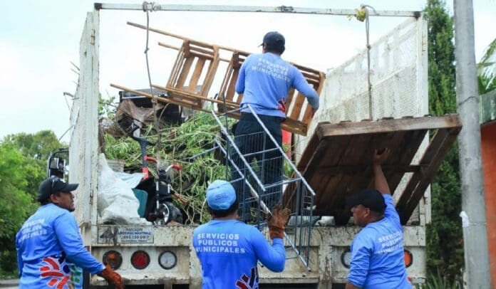En descenso, casos de dengue en Solidaridad