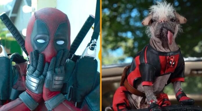 Dogpool estará en “Deadpool 3″ Ryan Reynolds anticipa nueva fecha de estreno