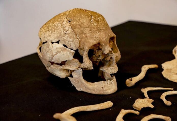 Trabajador destruye por accidente cráneo de más de 700 años durante exhibición en Puebla