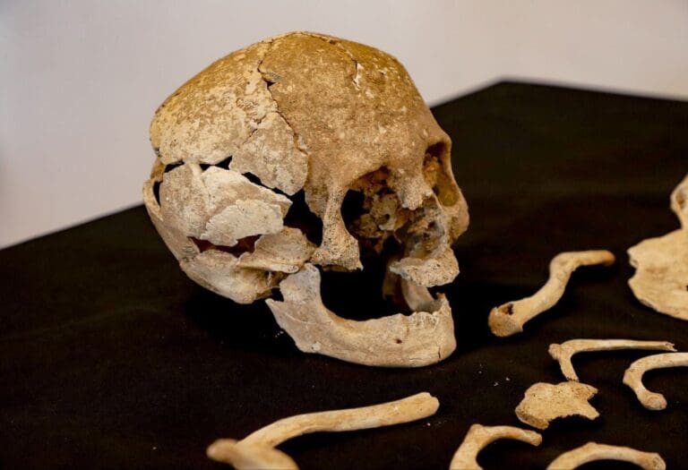 Trabajador destruye por accidente cráneo de más de 700 años durante exhibición en Puebla