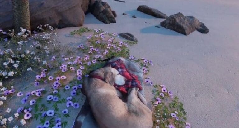 Video: Joven se reúne con su perrita fallecida a través de realidad virtual