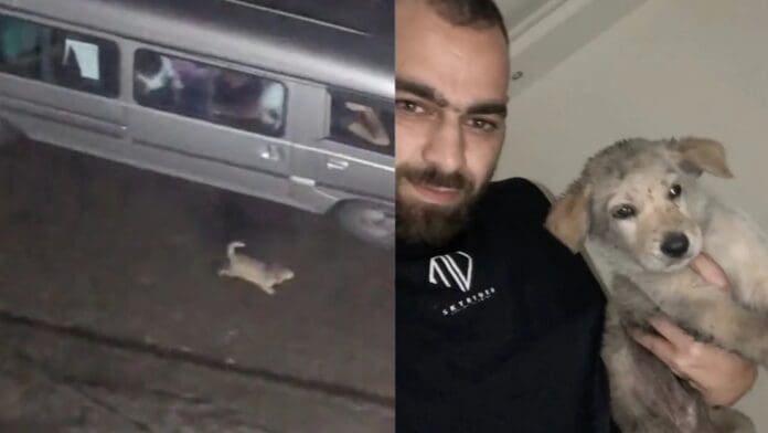 Hombre graba como abandonan un perrito en medio de la carretera y decide adoptarlo