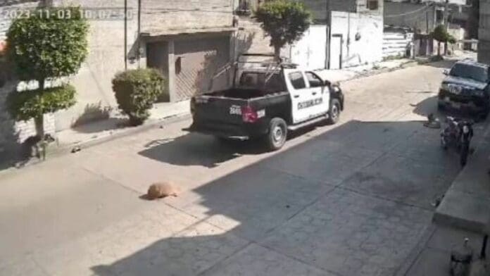 VIDEO: Patrulla atropella y mata a un perro en Chimalhuacán, Edomex vecinos piden justicia