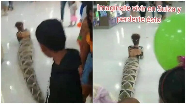 Mujer se hace viral al ir arrastrándose con disfraz de serpiente mientras recorría un centro comercial