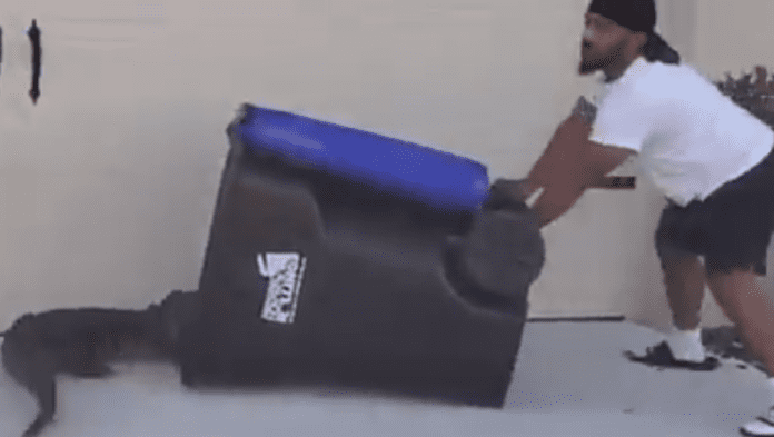 Video: Valiente hombre atrapa a un cocodrilo en Florida