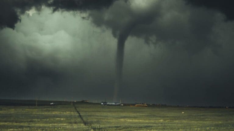 Encuentran vivo a un bebé en un árbol tras ser arrastrado por un tornado