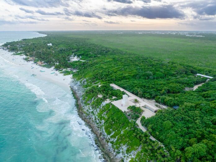 Tulum se transforma con la creación del nuevo parque del Jaguar: Diego Castañón