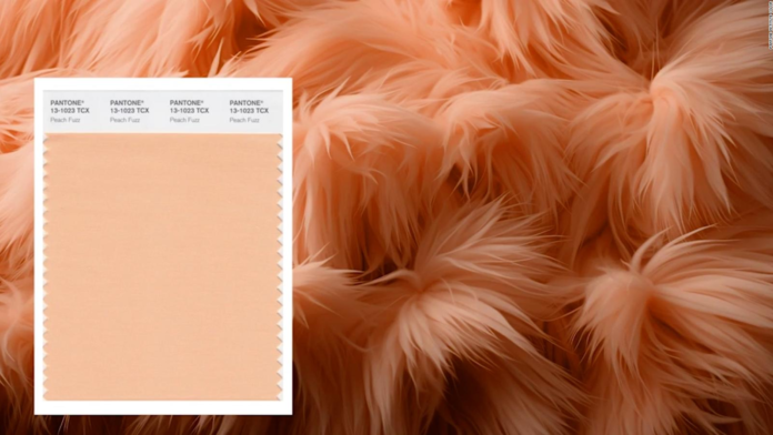 El color Pantone de 2024 se llama Peach Fuzz