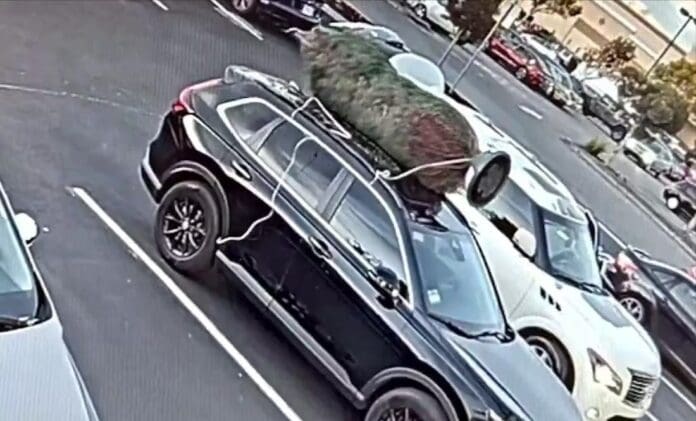 VIDEO ¡Peor que el Grinch! Hombre se roba árbol de Navidad de una camioneta