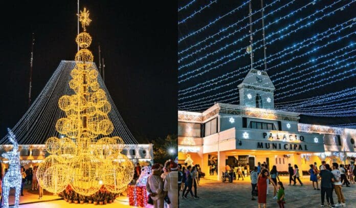 Solidaridad brilla con el tradicional encendido del árbol navideño