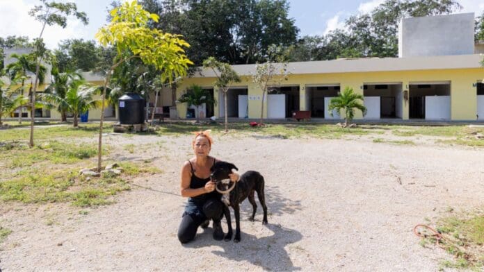 Atención integral a mascotas en Solidaridad