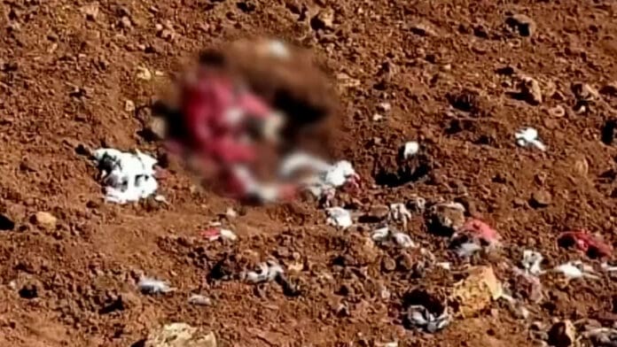 Perro en Michoacán halla mano enterrada y la lleva a su casa