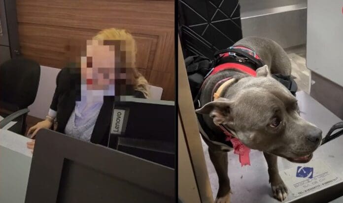 Critican a empleada de Centro Comercial en Monterrey por discriminar a perrito de servicio