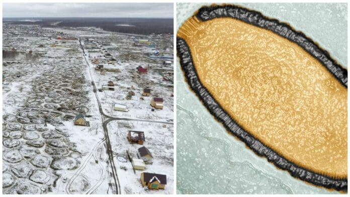 Advierten sobre 'virus zombis' del Ártico que podrían provocar una nueva y mortal pandemia