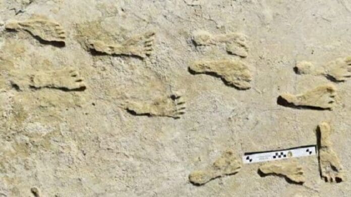 Descubren las pisadas homo sapiens más antiguas del norte de África