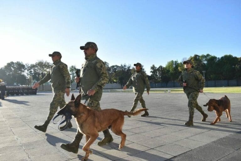 Se jubilan los perros rescatistas Ecko y Max; Semar les rinde un homenaje