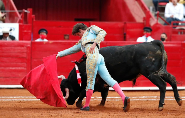 Tras casi dos años, regresan las corridas de toros a CDMX