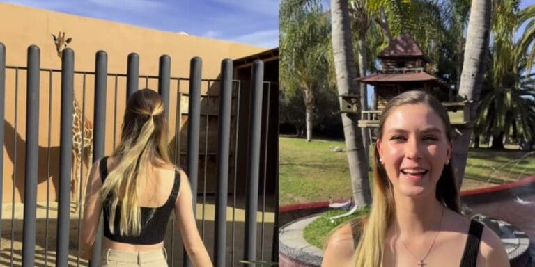 Influencer Nirvana Hank, hija de exalcalde de Tijuana, presume que tiene una jirafa de mascota