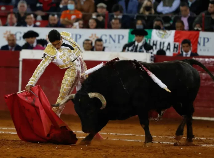 Corridas de toros seguirán en la Plaza México; jueza niega suspensión definitiva