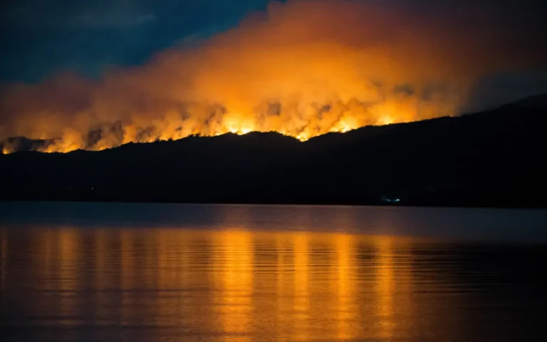 Incendio en un parque de la Patagonia argentina arrasa con más de 2 mil hectáreas