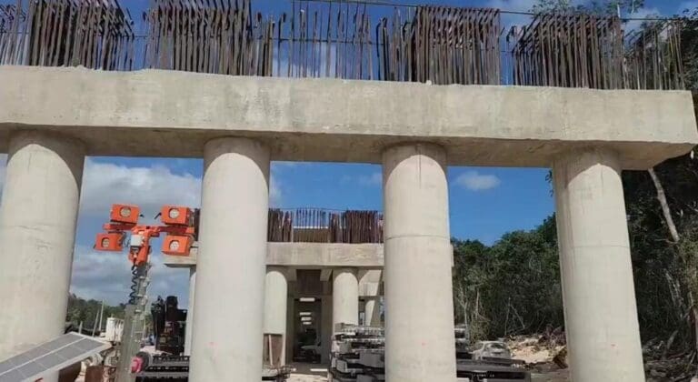 Un juez de Mérida, Yucatán ordenó suspender las obras en el tramo 5 del proyecto Tren Maya por los daños ambientales causados.