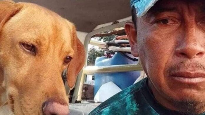 Canelo, el perrito que se hiciera famoso tras ser rescatado de un naufragio con unos pescadores, es candidato al rey del carnaval.