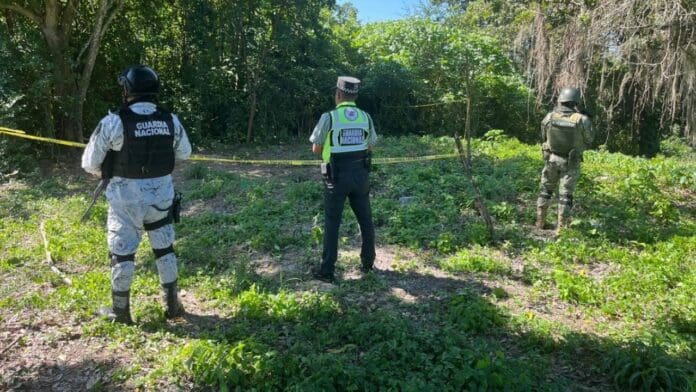 Encuentran fosa con 14 restos humanos en Tihuatlán, Veracruz