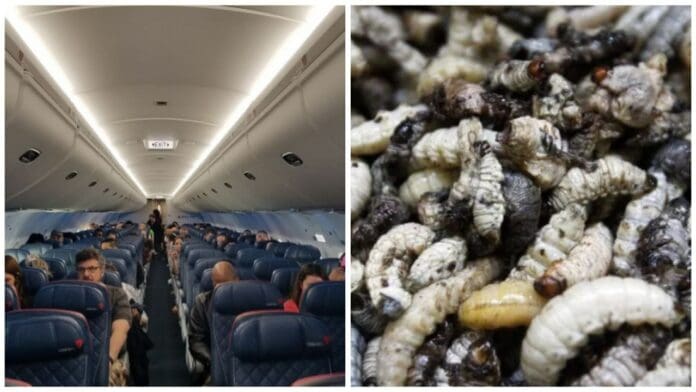 Una lluvia de gusanos obliga a dar media vuelta a un vuelo en Ámsterdam