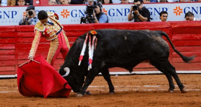 Torero Héctor Gutiérrez sufre cornada en el muslo en la Plaza México