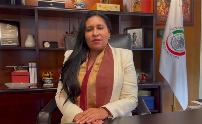 VIDEO: Se disculpa presidenta del Senado por Morena tras llamar 