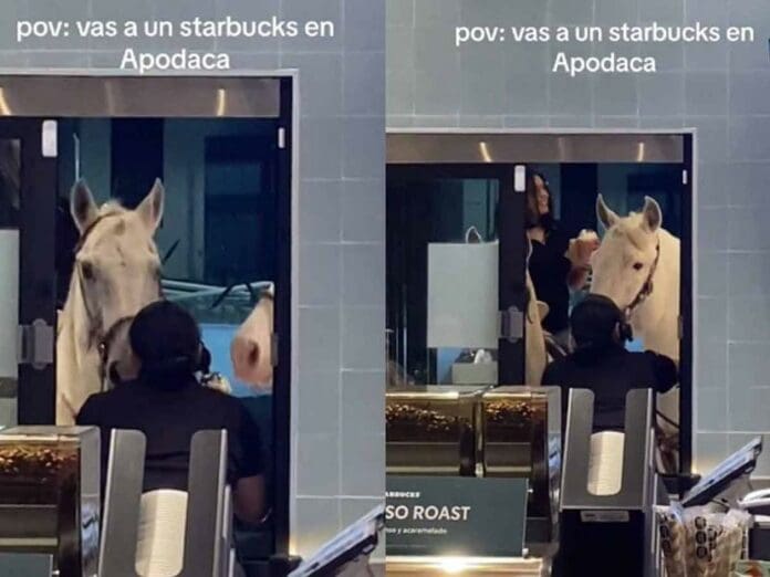 Jóvenes llegan en caballo al Starbucks de Apodaca, NL