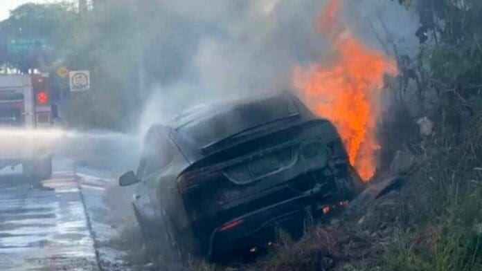 El conductor de un Tesla que iba a exceso de velocidad, cayó con todo y su vehículo de un puente ubicado sobre la carretera federal.