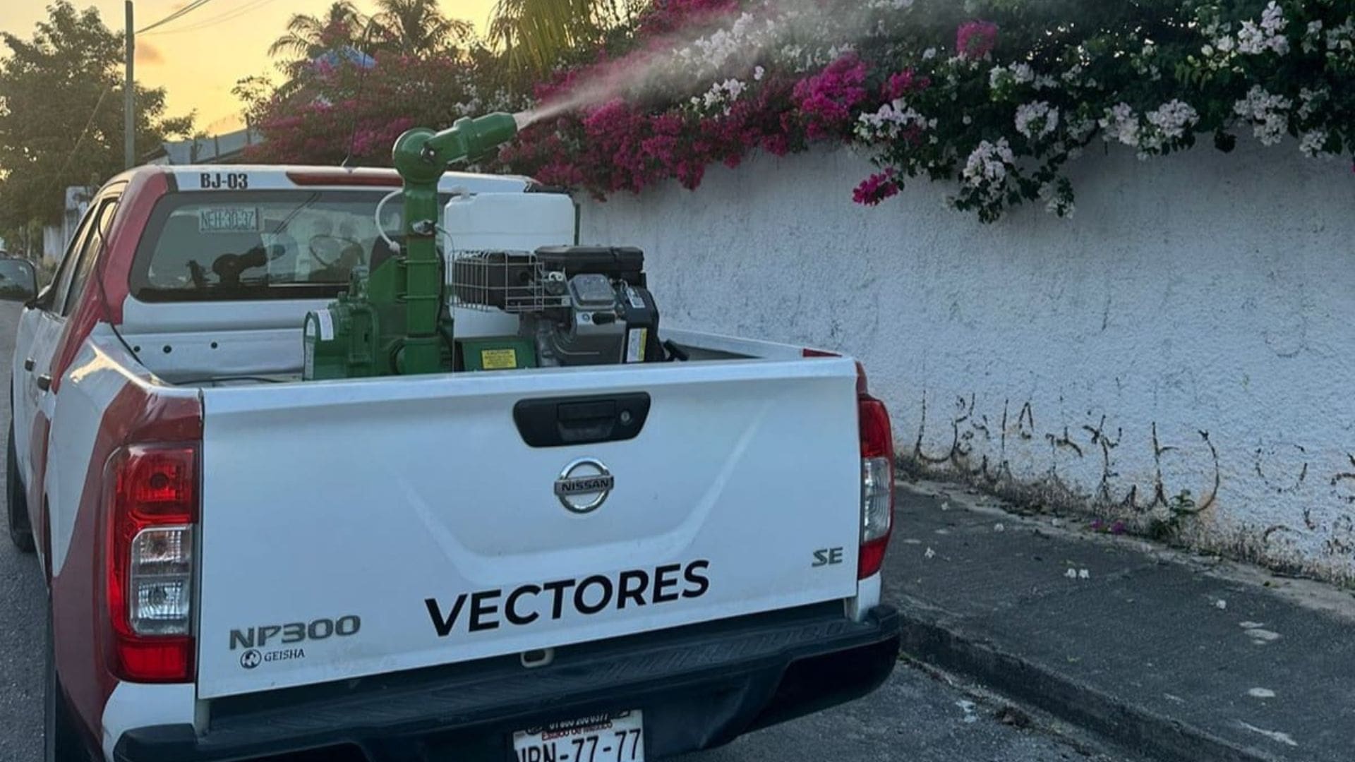 Suma SESA más acciones de combate contra el dengue