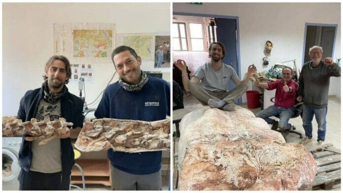 Hallan el esqueleto de un dinosaurio de hace 70 millones de años