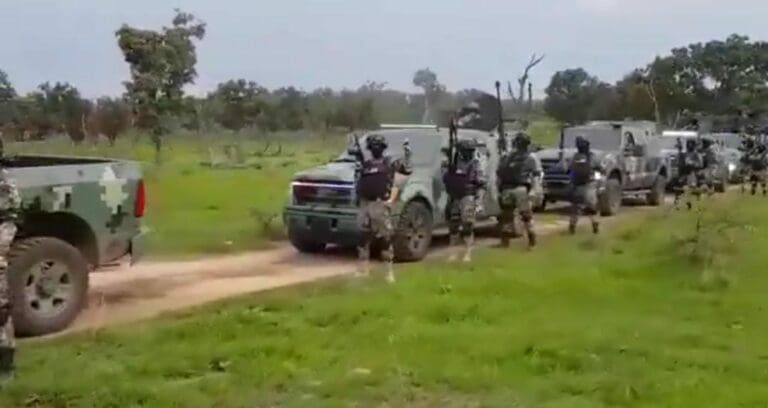 Interpol informó que organizaciones como Comando Vermelho, Primeiro Comando da Capital y el CJNG están implicados en fraudes financieros.