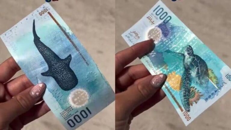¿Supera al ajolotito? Conoce uno de los billetes más hermosos del mundo