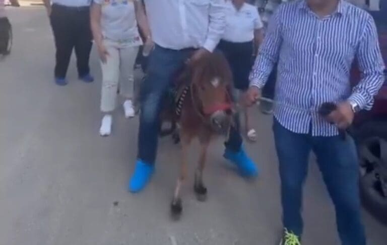 VIDEO: Señalan por maltrato animal a candidato panista que montó un pony en Yucatán