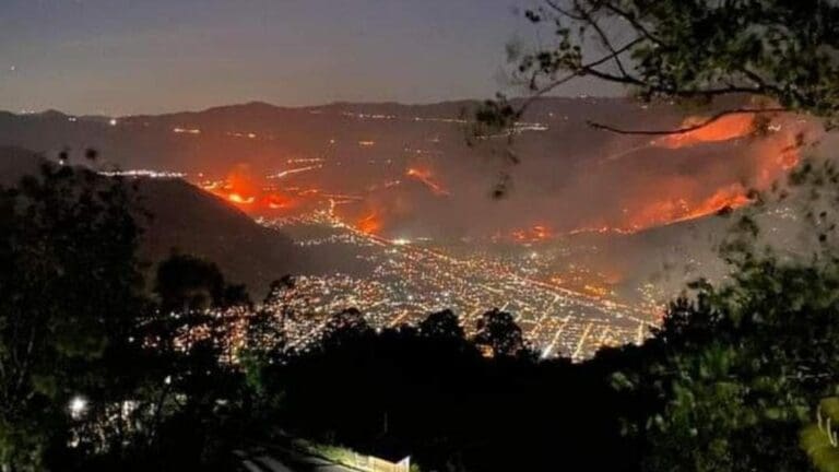 Un fuerte incendio se reportó desde la noche de ayer domingo en el estado de Veracruz. El fuego se está extendiendo.