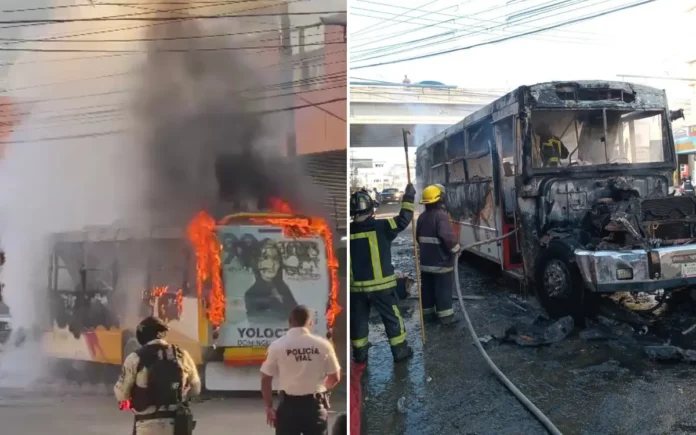 VIDEO: Sujetos armados incendian camión urbano frente al Mercado Central de Acapulco