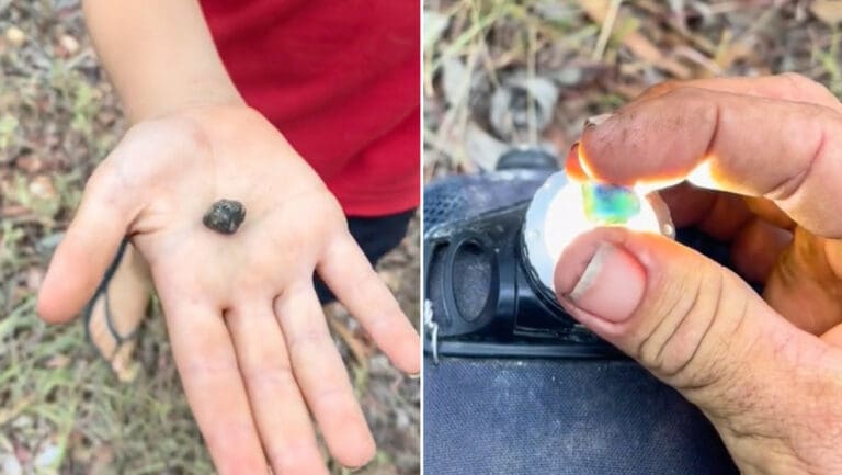 Niño de siete años encuentra un zafiro valorado en 6 mil 500 dólares