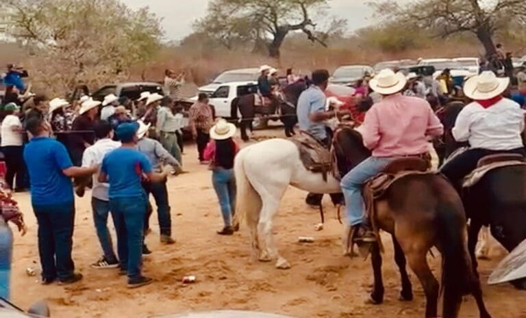 Carrera clandestina de caballos deja dos muertos en Choix, Sinaloa